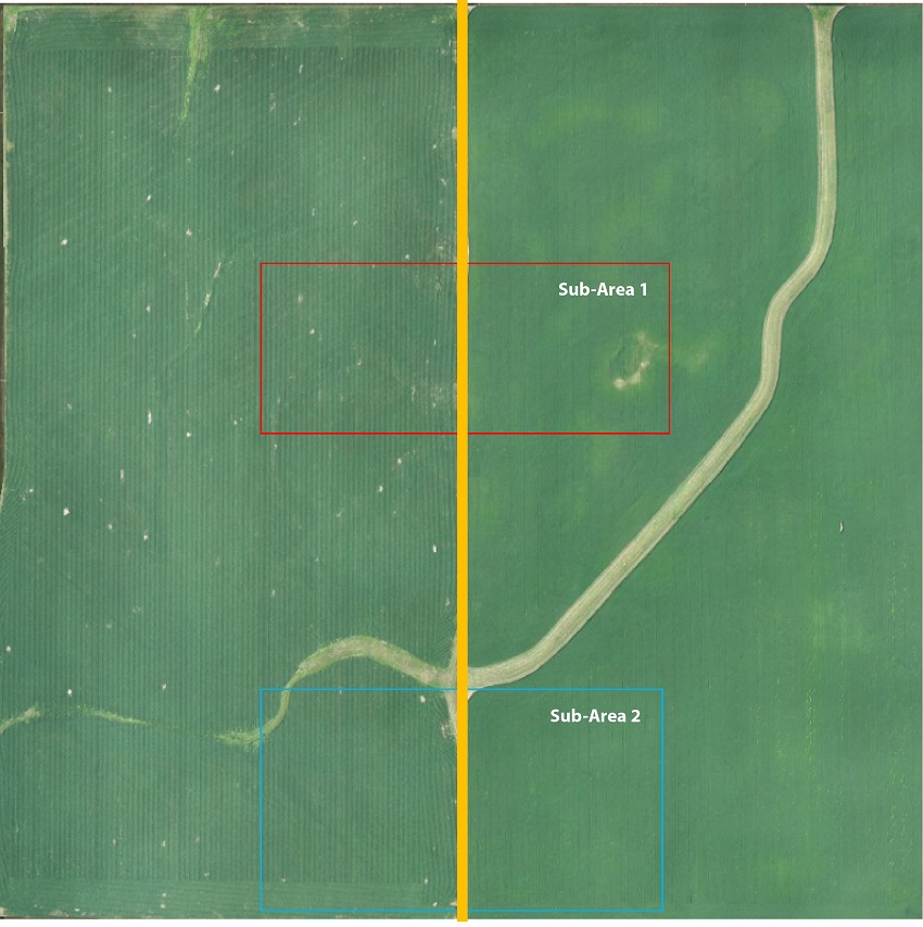 Image of soybean crops from up high