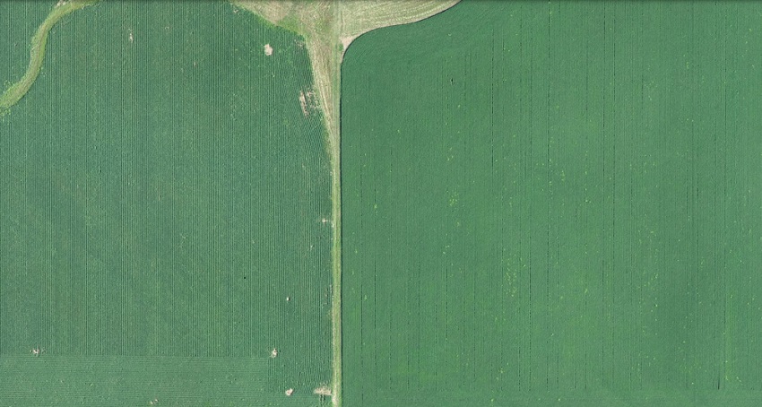 Image of soybean plantation, view from up high