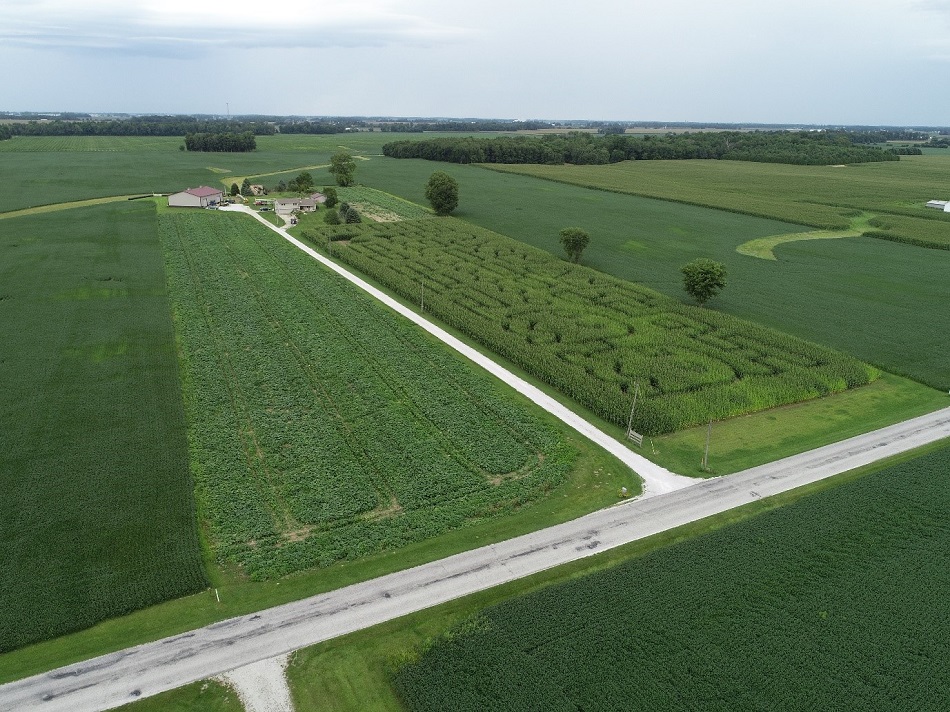 Image from a drone flying on a pumpkin patch and corn maze