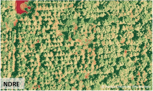 Image with Differences can be seen when comparing plant health maps, VARI