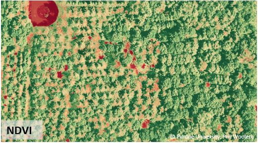 Image with Differences can be seen when comparing plant health maps, NDVI
