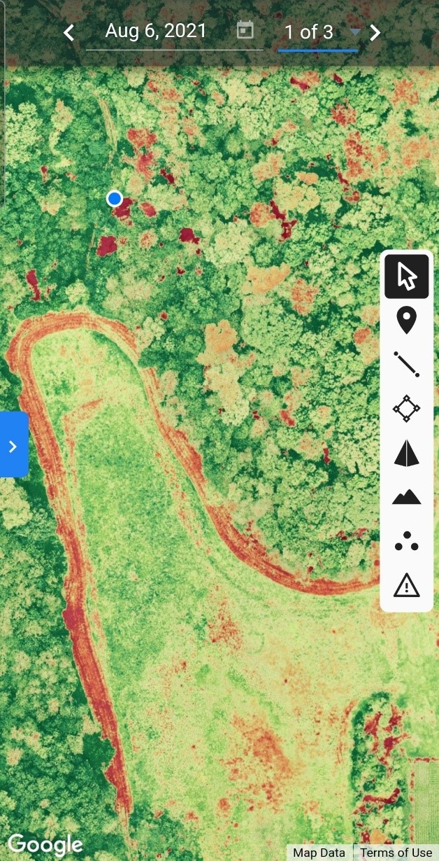 Image of a manual flight shows the trees located in red as dead