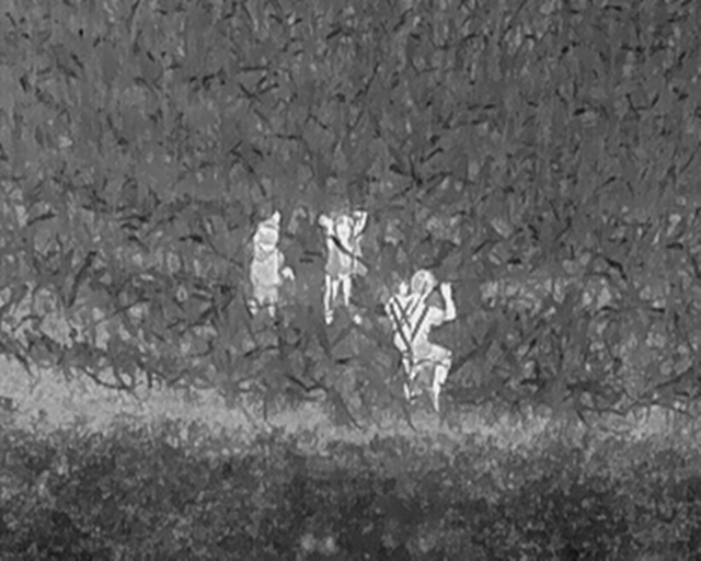 Thermal image cameras for searching, image at night