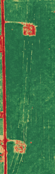 Image mapping using NDVI to compare indices