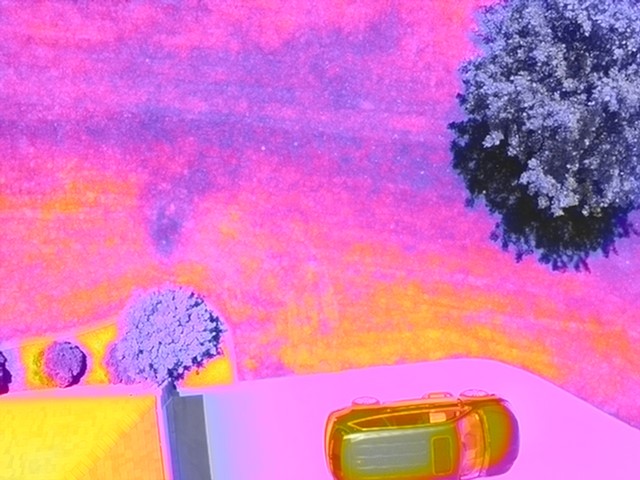  In the thermal image on the right, the yellow shows hot, stressed areas and the purple shows cooler areas